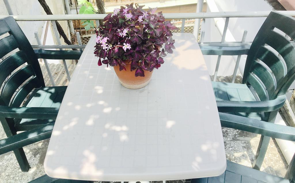 Guest House Zatika Тбилиси Екстериор снимка